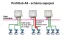 ProfiHub A5 PROFIBUS multi-repeater, IP65