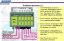 ProfiHub A5 PROFIBUS multi-repeater, IP65